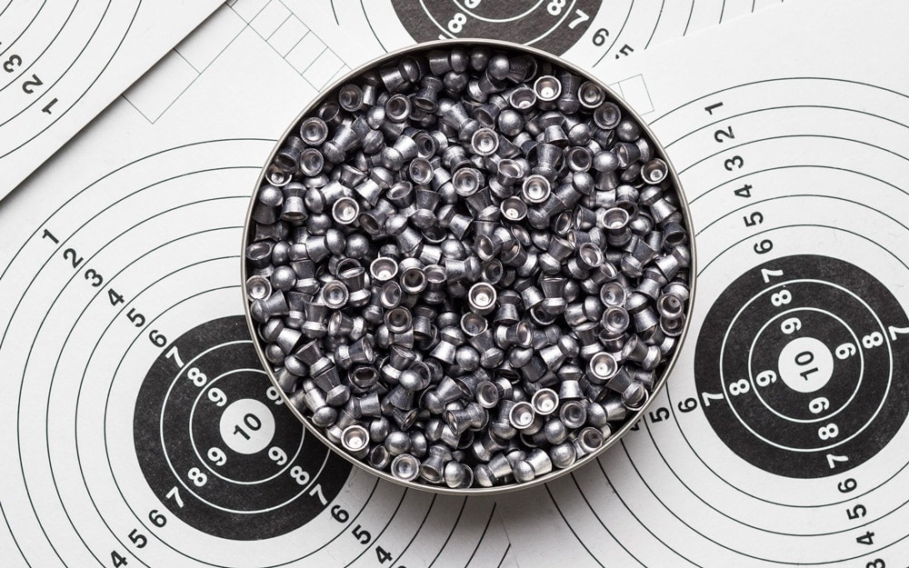 The 4 Best .22 Pellets For