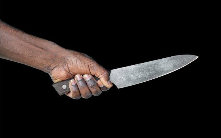 Kitchen knife in a hand